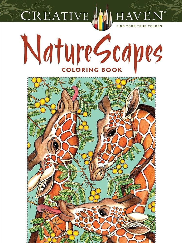 Creative Haven NatureScapes Coloring Book | 31 Illustrations | Patricia J. Wynne | Adults