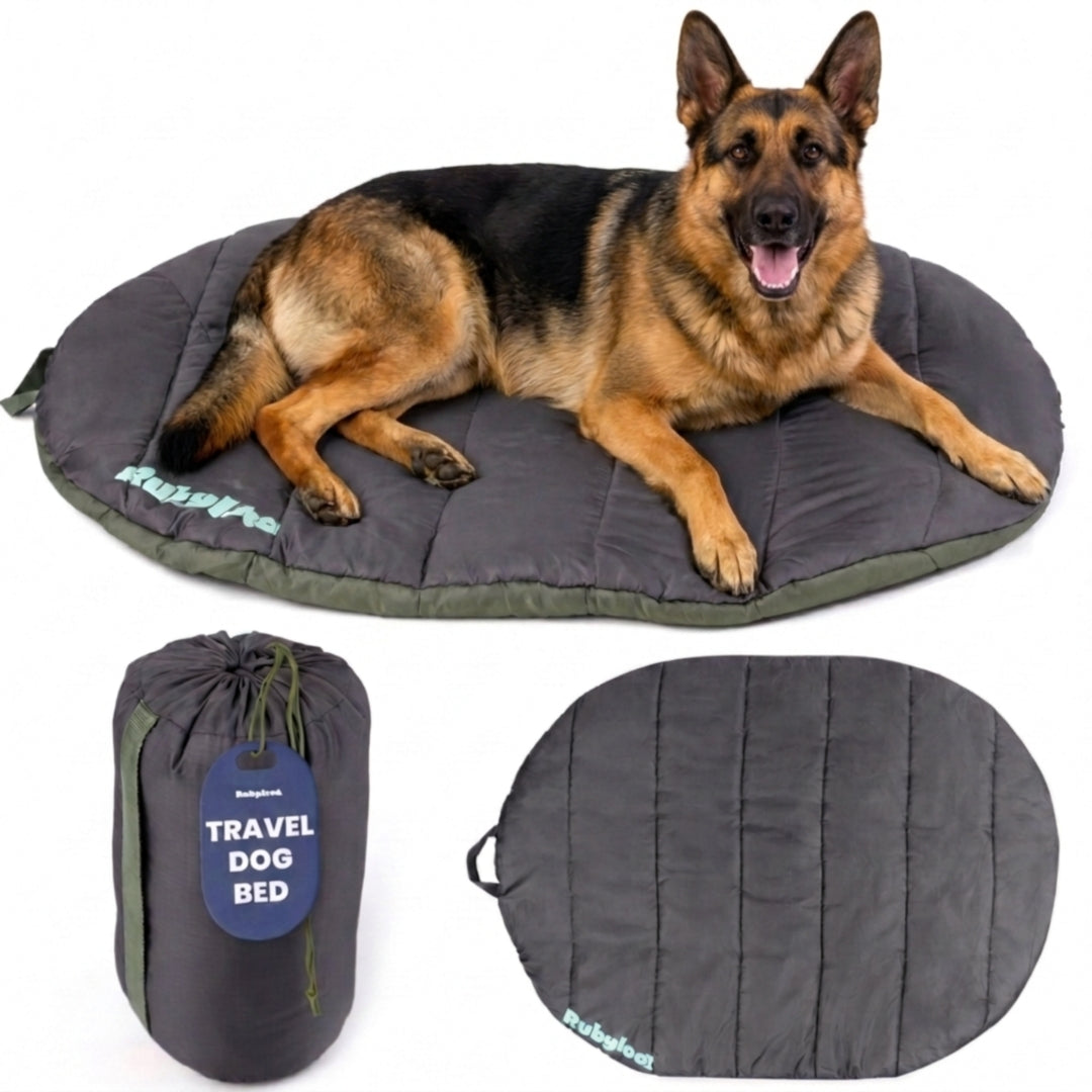 Rubyloo Travel Dog Bed | Foldable & Packable | Ripstop Nylon | Small, Medium or Large