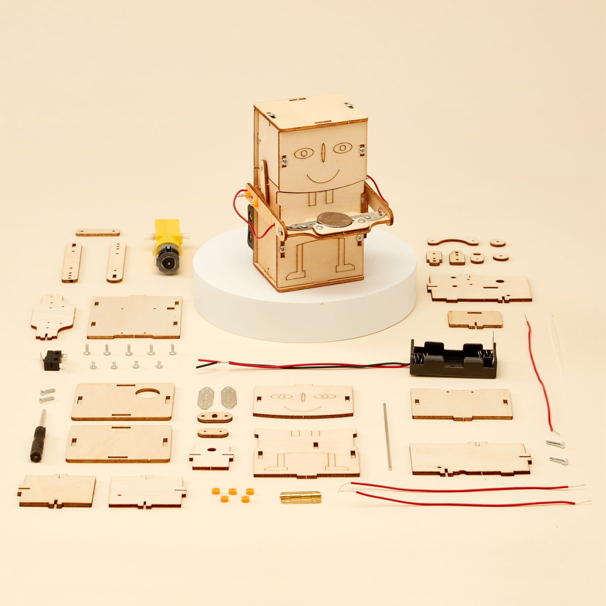 Money Bank Robot DIY Kit | Educational STEM Toy for Kids Ages 10+ - Niksstuff