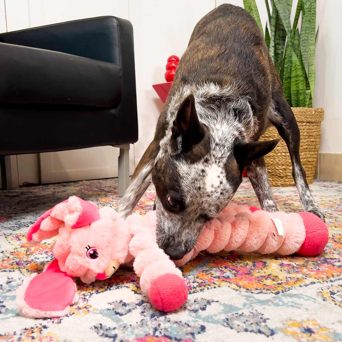 KONG Shakers Crumples Jumbo Dog Toy | Sloth & Bunny - Niksstuff
