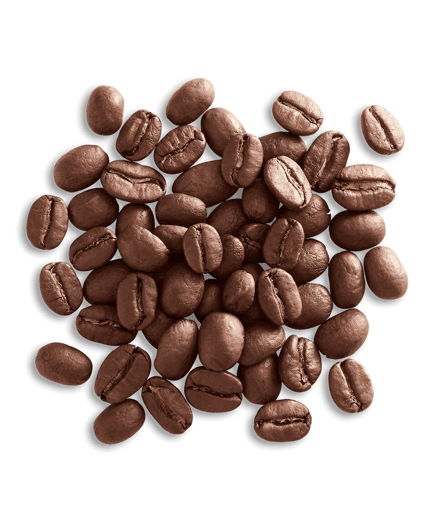 Pile of roasted coffee beans, oval glossy brown kernels