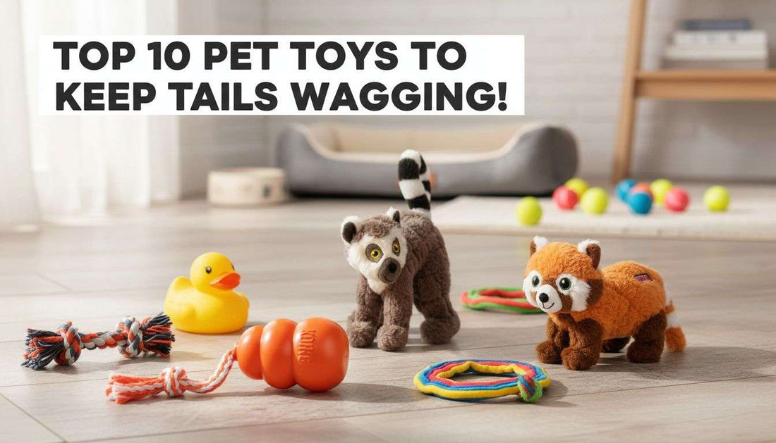 Top 10 Pet Toys to Keep Tails Wagging