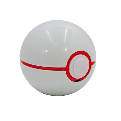 Pokémon Trainer Guess Sinnoh Edition Interactive Game
