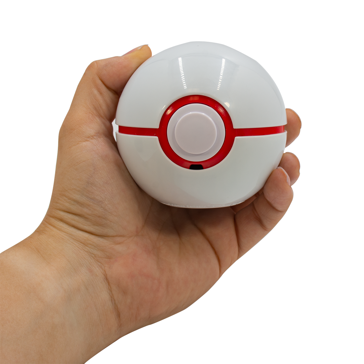 Pokémon Trainer Guess Sinnoh Edition Interactive Game