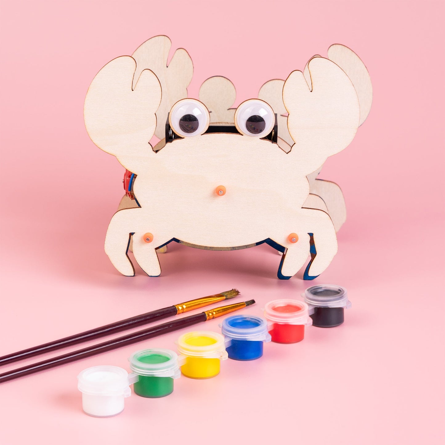 Sound-Activated Walking Crab STEM Kit | Build, Paint & Watch It Walk | Clap to Activate
