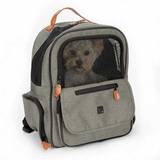 Gray pet backpack with mesh front window, front pocket, and orange zipper pulls