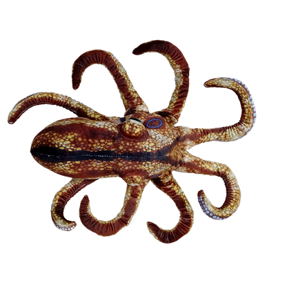 Realistic Octopus Plush Stuffed Animal | 10" Curled | 18" Extended Tentacles