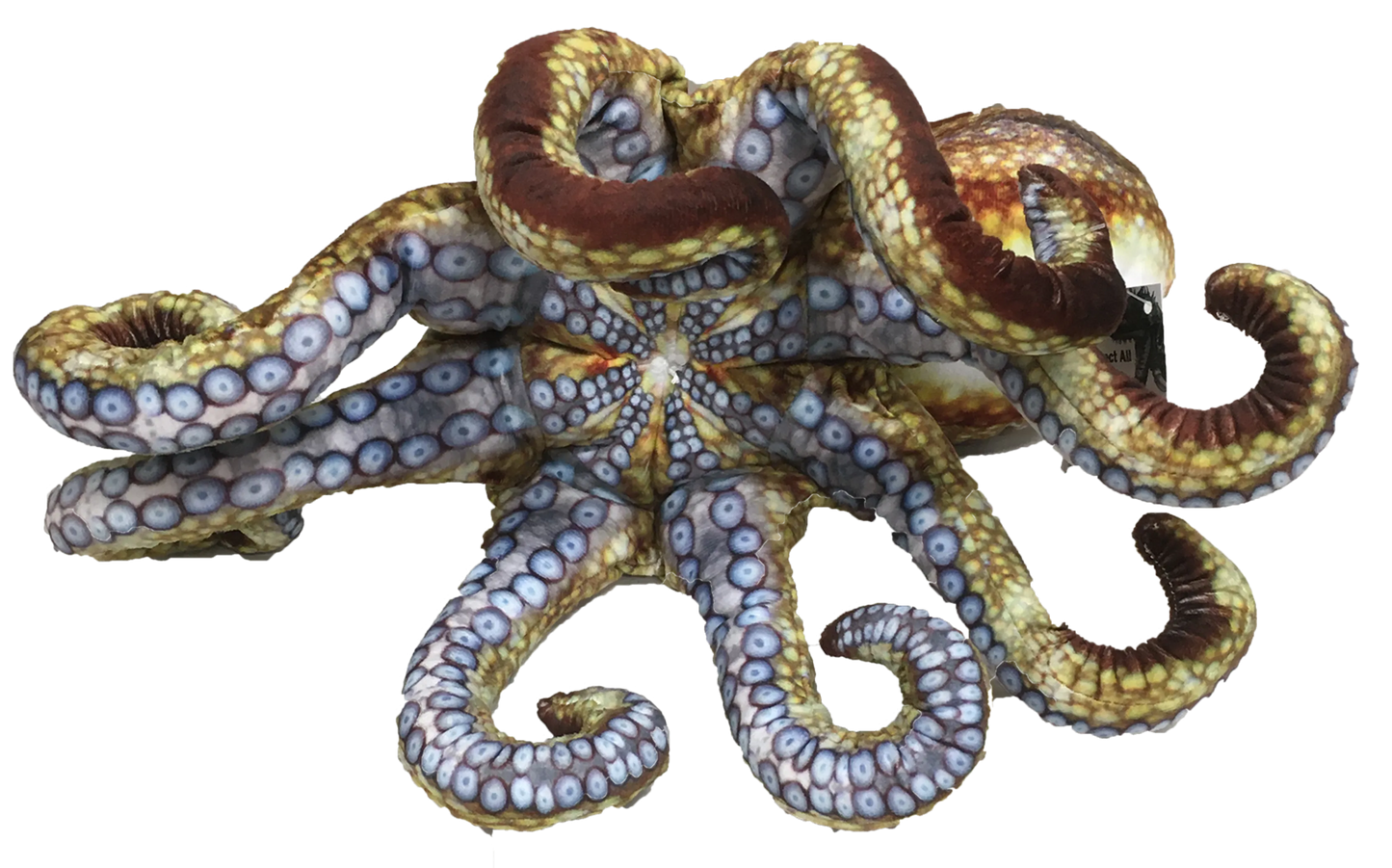 Realistic Octopus Plush Stuffed Animal | 10" Curled | 18" Extended Tentacles