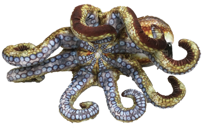 Realistic Octopus Plush Stuffed Animal | 10" Curled | 18" Extended Tentacles
