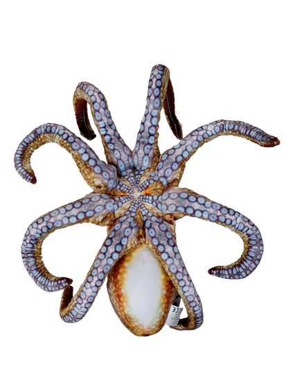 Realistic Octopus Plush Stuffed Animal | 10" Curled | 18" Extended Tentacles