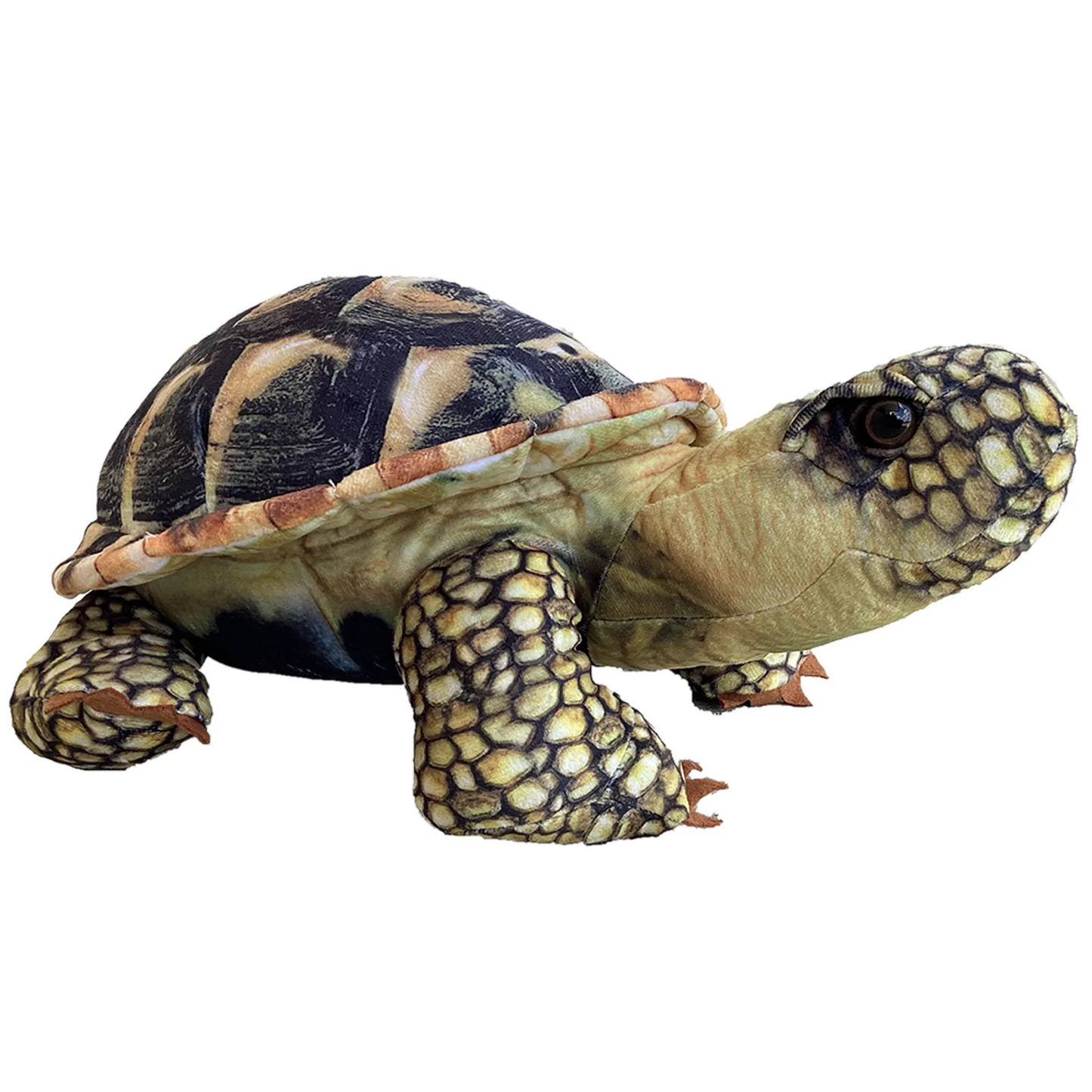 African Spurred Tortoise Plush Stuffed Animal | 13" | Realistic Shell Detail | Sulcata Tortoise Toy