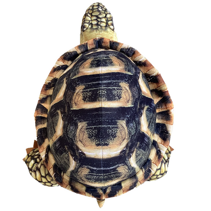 African Spurred Tortoise Plush Stuffed Animal | 13" | Realistic Shell Detail | Sulcata Tortoise Toy