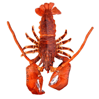 Lobster Plush Stuffed Animal | 18" | Claws, Antennae & Detailed Patterned Fabric | Ocean Toy