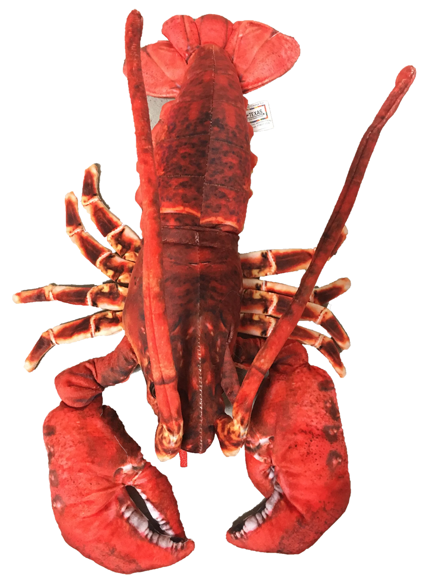 Lobster Plush Stuffed Animal | 18" | Claws, Antennae & Detailed Patterned Fabric | Ocean Toy