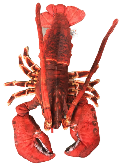 Lobster Plush Stuffed Animal | 18" | Claws, Antennae & Detailed Patterned Fabric | Ocean Toy