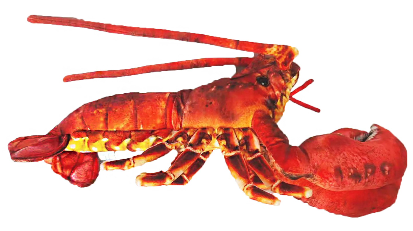 Lobster Plush Stuffed Animal | 18" | Claws, Antennae & Detailed Patterned Fabric | Ocean Toy