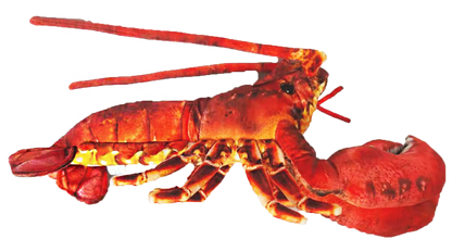 Lobster Plush Stuffed Animal | 18" | Claws, Antennae & Detailed Patterned Fabric | Ocean Toy