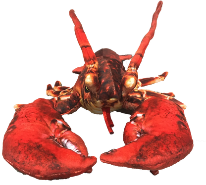 Lobster Plush Stuffed Animal | 18" | Claws, Antennae & Detailed Patterned Fabric | Ocean Toy