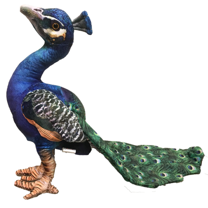 Peacock Plush Stuffed Animal | 18" | Detailed Feather Pattern | Exotic Bird Toy