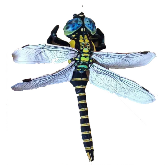 Dragonfly Plush Stuffed Animal | 21.65" | Big Eyes & Detailed Wings | Insect Wildlife Toy