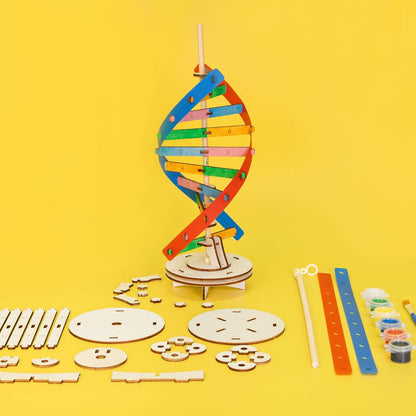DIY wooden DNA double helix model kit with loose parts and paint supplies