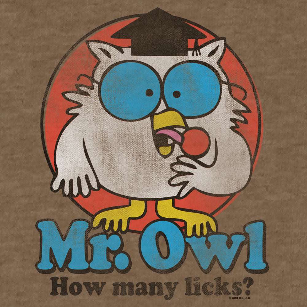 Brown graphic T-shirt close-up: owl eyes and “Mr. Owl” “How many licks?”