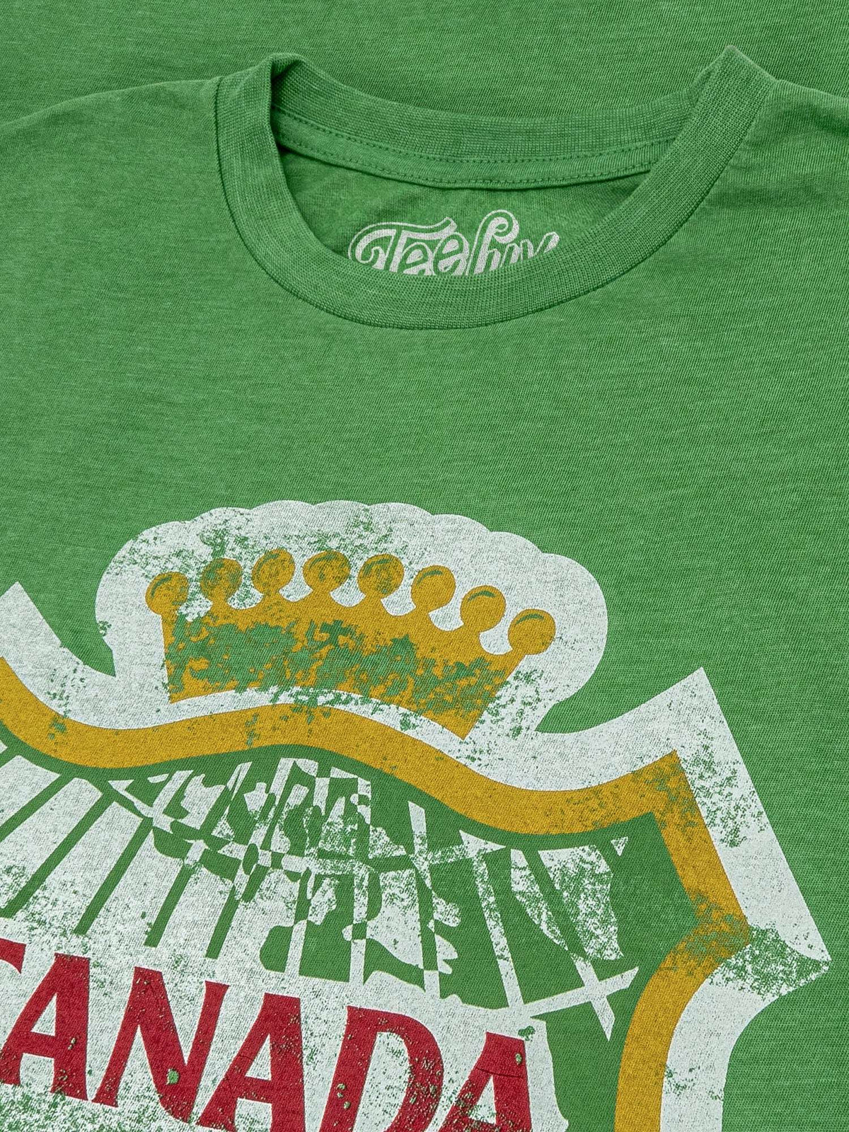 Green T-shirt with crew neck and Canada Dry distressed graphic