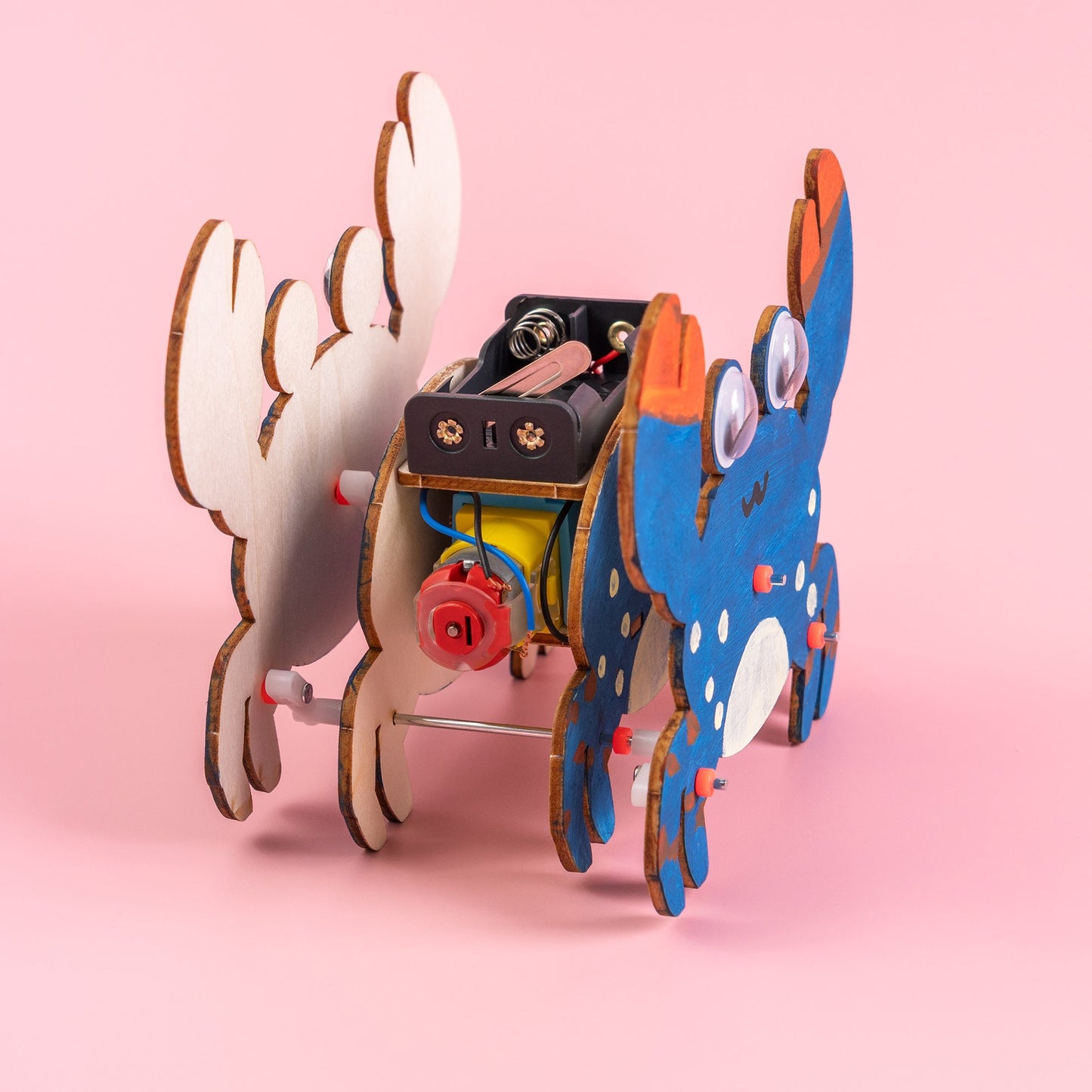 Sound-Activated Walking Crab STEM Kit | Build, Paint & Watch It Walk | Clap to Activate