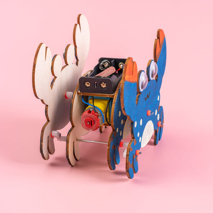 Sound-Activated Walking Crab STEM Kit | Build, Paint & Watch It Walk | Clap to Activate