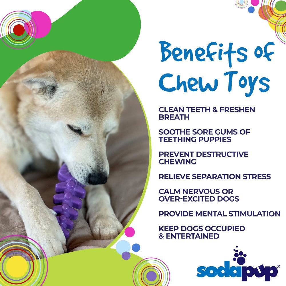 SodaPup Fish Bone Nylon Chew Toy for Aggressive Chewers | USA Made - Niksstuff
