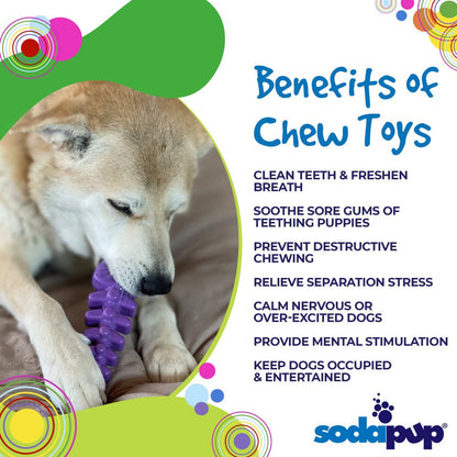 SodaPup Fish Bone Nylon Chew Toy for Aggressive Chewers | USA Made - Niksstuff