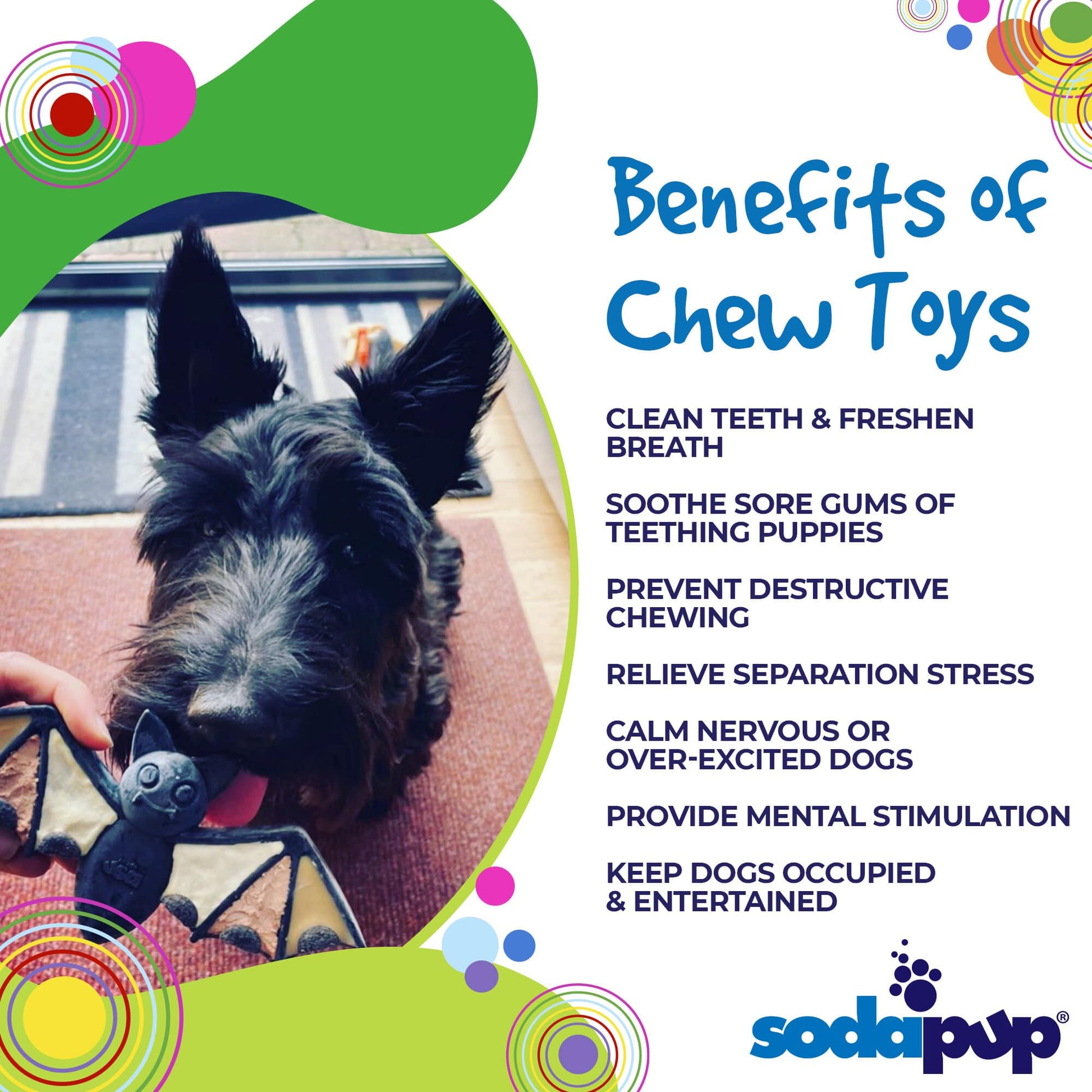 SodaPup Vampire Bat Nylon Chew Toy for Aggressive Chewers | USA Made - Niksstuff
