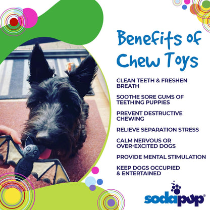 SodaPup Vampire Bat Nylon Chew Toy for Aggressive Chewers | USA Made - Niksstuff