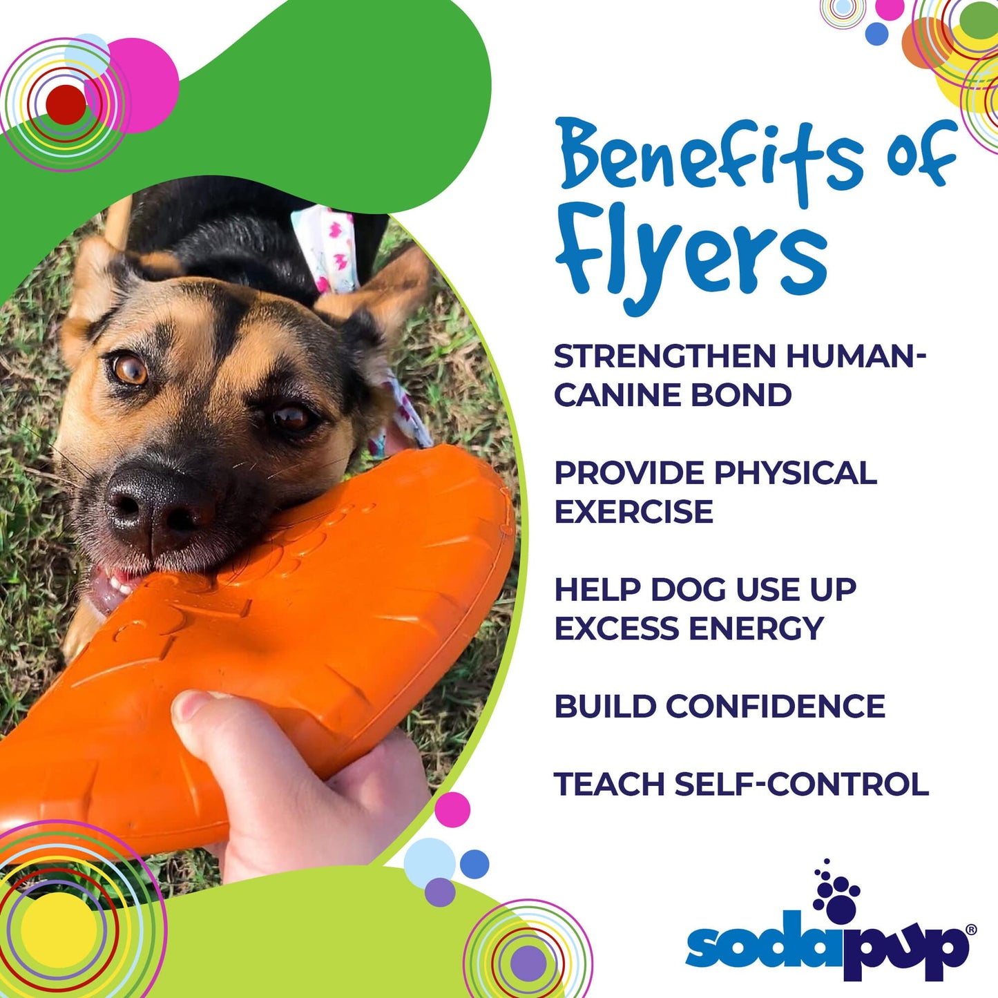 Bottle Top Flyer Rubber Frisbee for Dogs by SodaPup
