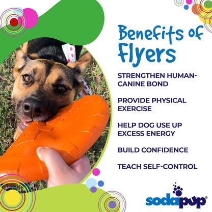 Bottle Top Flyer Rubber Frisbee for Dogs by SodaPup