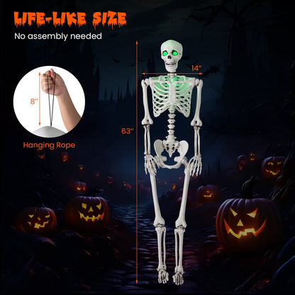 5.5 FT Life-Size Poseable Halloween Skeleton with Green Light-Up Eyes & Chest