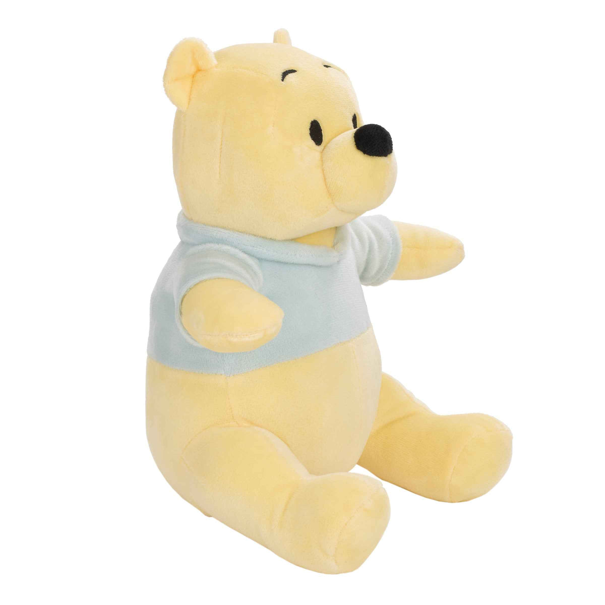 Disney Baby Winnie the Pooh Yellow & Aqua Plush