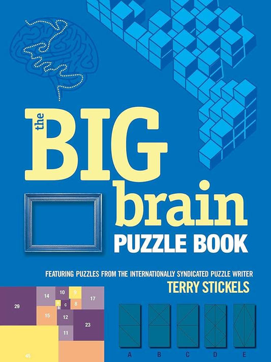 Blue puzzle book cover with “Big Brain” title and cube maze graphic