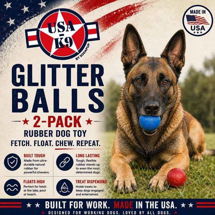 SodaPup Glitter Ball 2-Pack Dog Toy - Floating Treat Dispenser