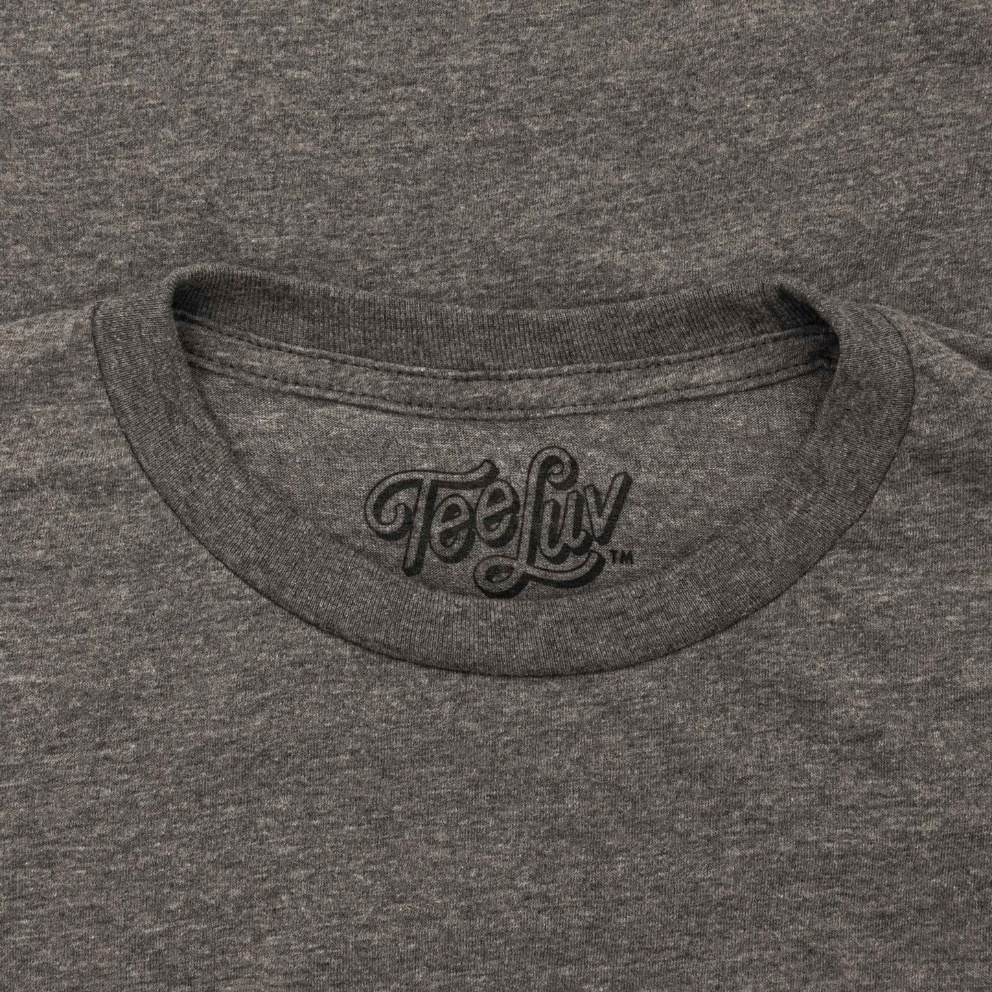 Top Ramen "Send Noods" T-Shirt | Distressed Nissin Logo | Graphite Heather | Poly-Cotton