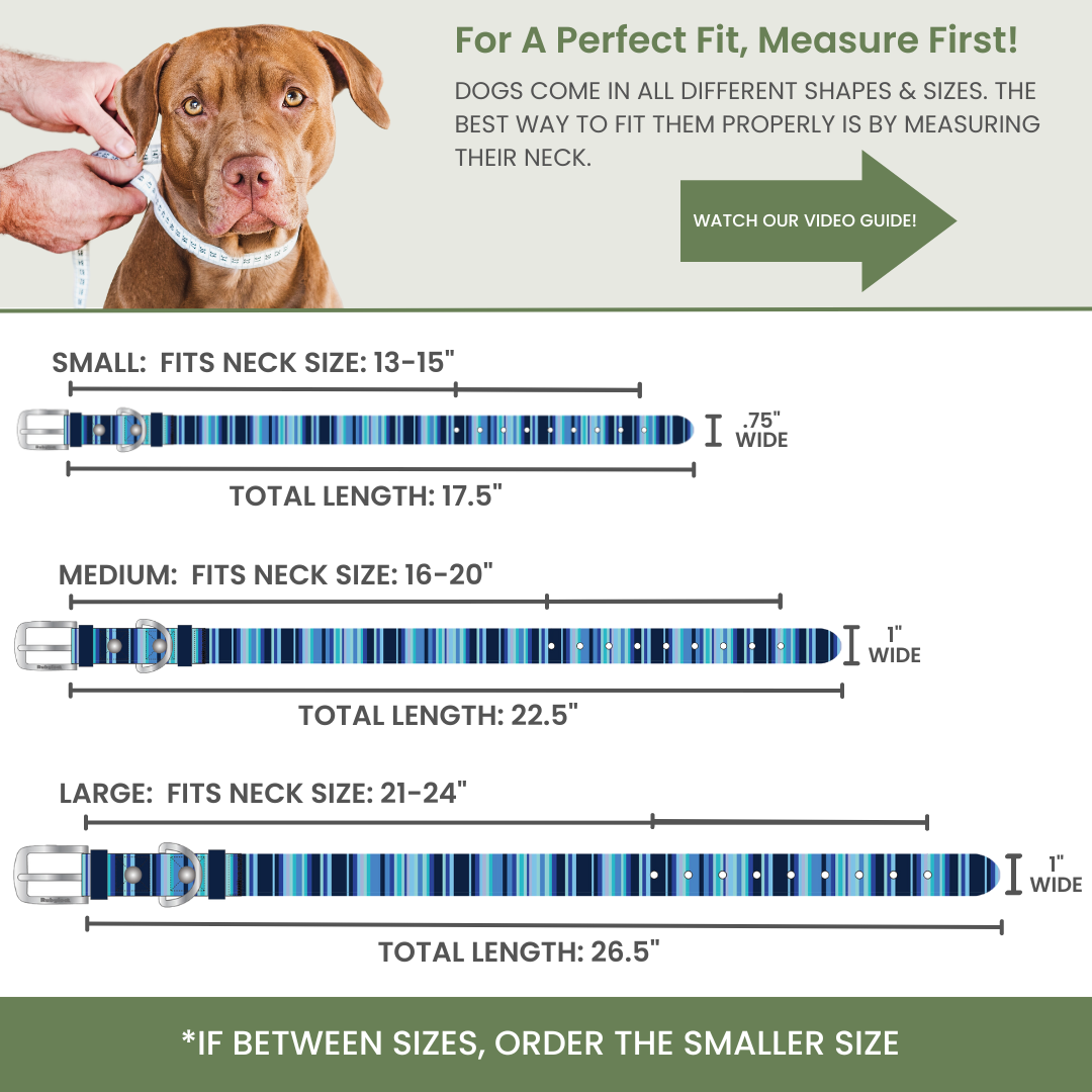 Rubyloo Waterproof Dog Collar | Washable & Stink-Proof | Poly-Coated Nylon | S, M or L | 5 Colors