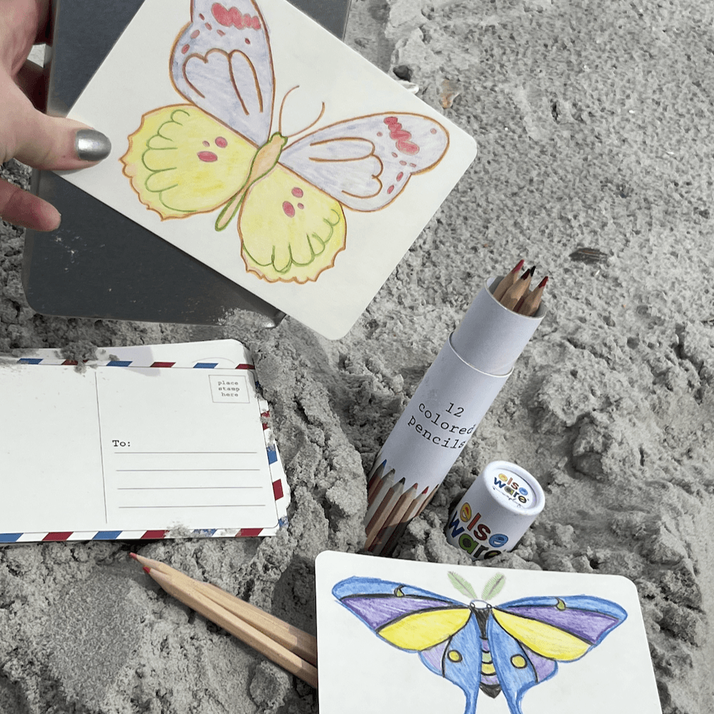 Coloring Postcards Set – 30 Cards, 6 Designs in Reusable Tin | Bird, Butterfly & Moth, or Animal | Watercolor & Pencil Ready