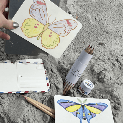 Coloring Postcards Set – 30 Cards, 6 Designs in Reusable Tin | Bird, Butterfly & Moth, or Animal | Watercolor & Pencil Ready