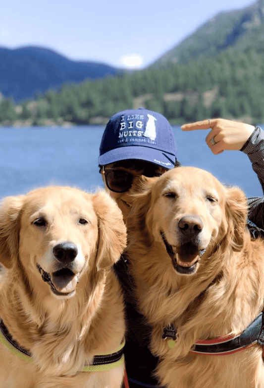 Dark navy baseball cap on a dog's head with white dog graphic and slogan