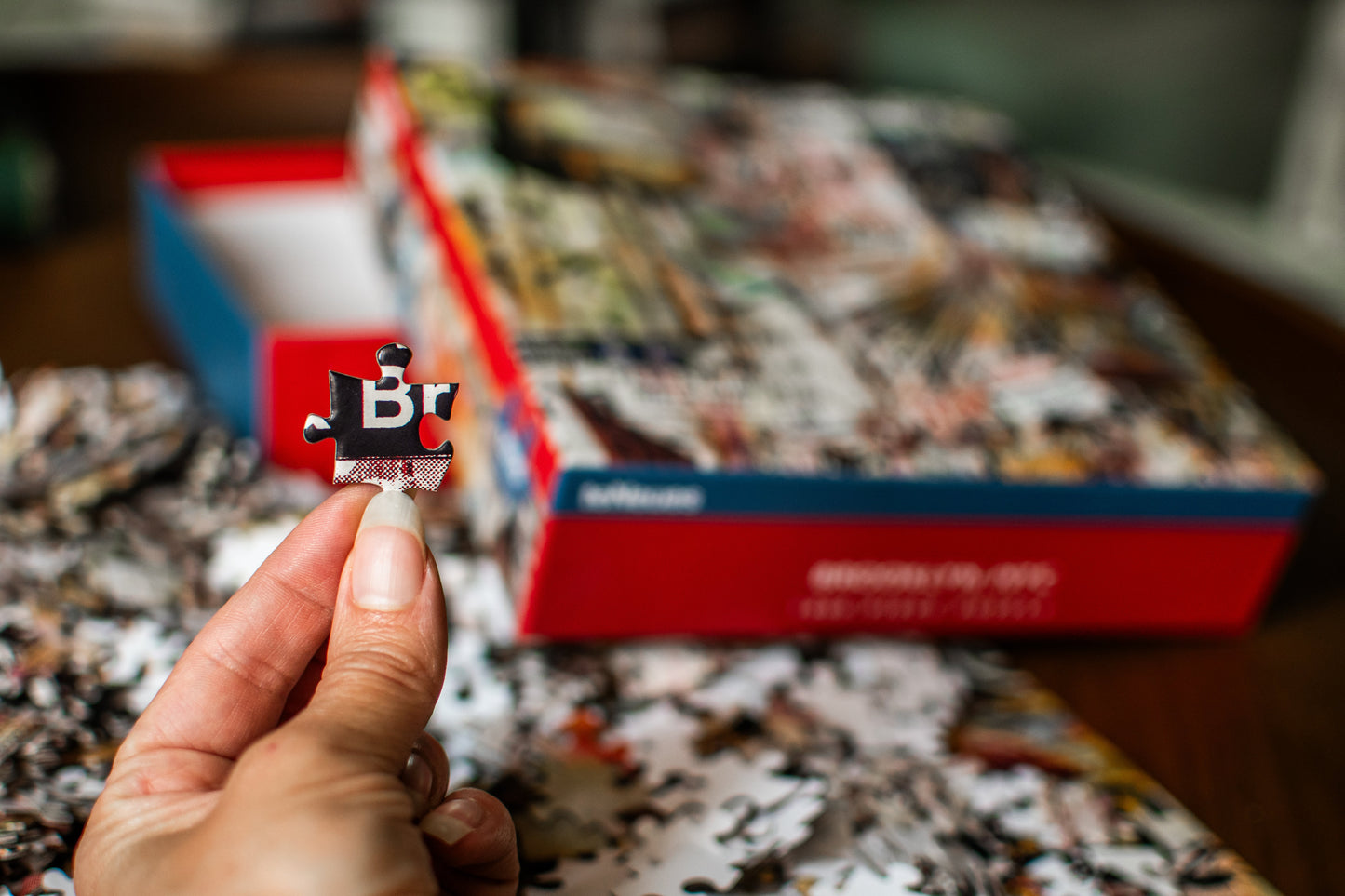 Brooklyn, NY 1,000-Piece Puzzle | teNeues | with Poster Guide