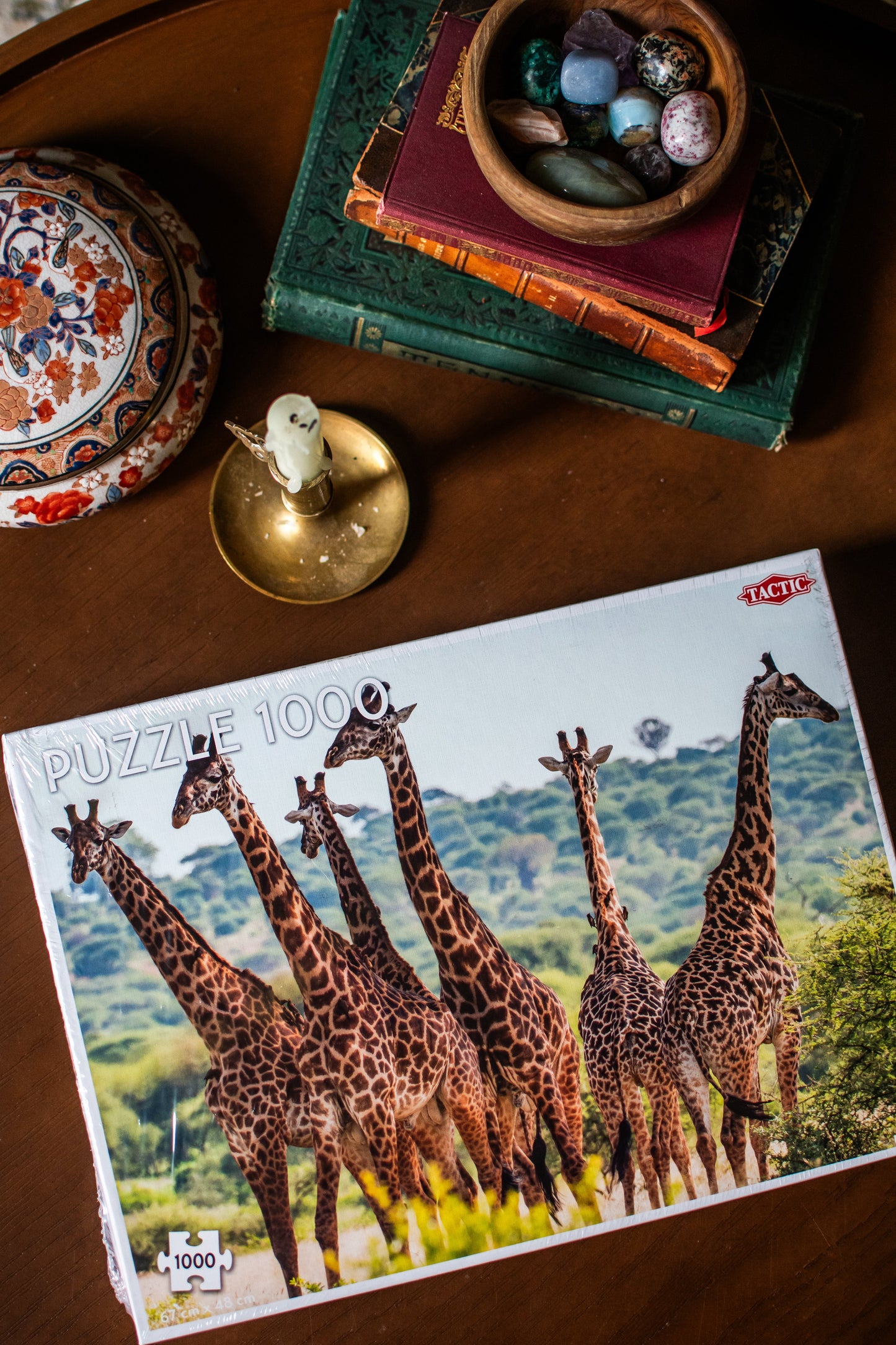 Giraffe Family 1,000-Piece Jigsaw Puzzle | Puzzle Lovers by Tactic | 67 × 48 cm