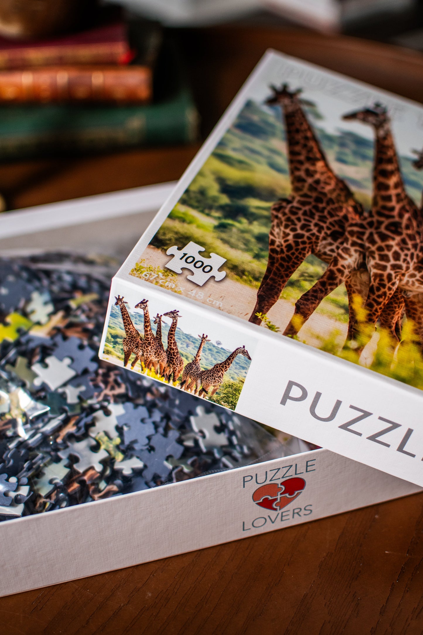 Giraffe Family 1,000-Piece Jigsaw Puzzle | Puzzle Lovers by Tactic | 67 × 48 cm