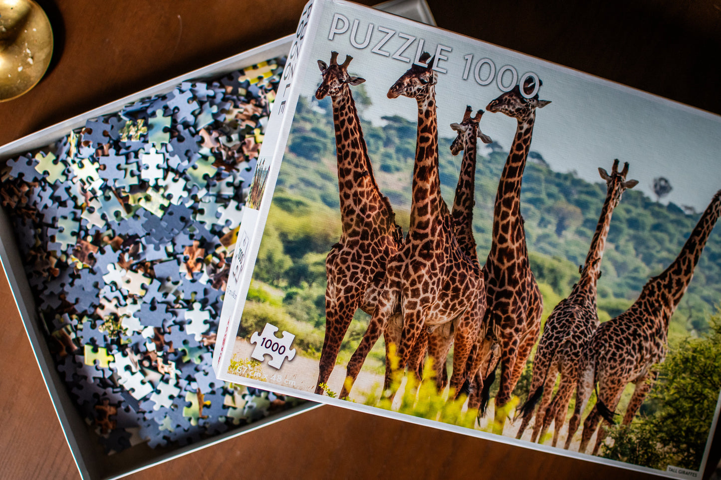 Giraffe Family 1,000-Piece Jigsaw Puzzle | Puzzle Lovers by Tactic | 67 × 48 cm