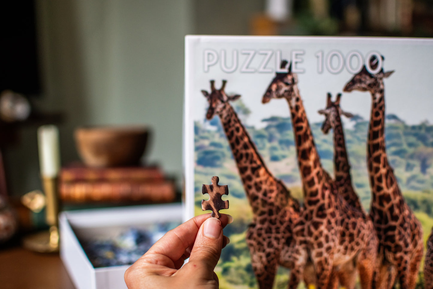 Giraffe Family 1,000-Piece Jigsaw Puzzle | Puzzle Lovers by Tactic | 67 × 48 cm