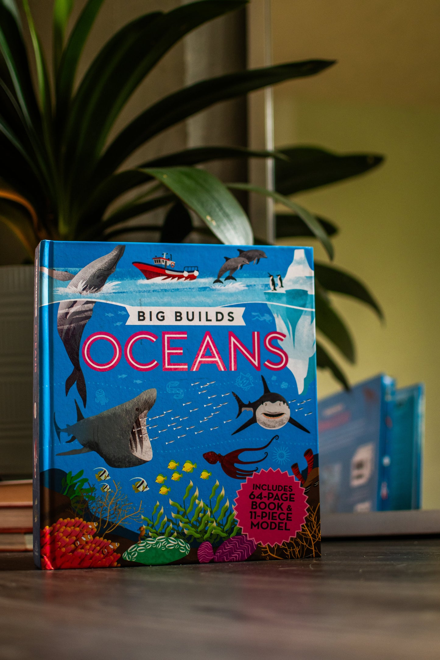 Big Builds: Oceans – Interactive STEM Book & 3D Ocean Model | Ages 8+ | Press-Out Pieces